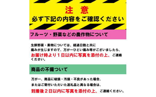 徳島県吉野川市のふるさと納税 ぶどう 皮ごと食べられる 大粒 ぶどうセット 2房 ~ 3房 シャインマスカット マスカット 葡萄 大粒 皮ごと 果物 くだもの フルーツ 旬 期間限定 山下農園の ぶどう 瀬戸ジャイアンツ 雄宝 サニードルチェ コトピー ハイベリー オリエンタルスター 2025年8月中旬頃～9月頃発送予定 先行予約 徳島県 吉野川市