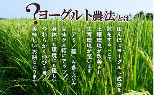 山形県庄内町のふるさと納税 庄内産でわのもちを使用した杵つき餅 （380g×3袋） 柔らかくよく伸びる 丸もち お雑煮 正月 丸餅 おもち 個包装 5000円 5千円