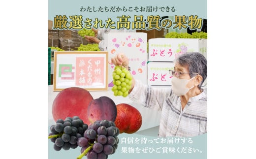 山梨県甲州市のふるさと納税 厳選！産地直送ぶどう「シャインマスカット」1.5kg以上（2～3房）【2025年発送】（KKH）B12-490 【シャインマスカット 葡萄 ぶどう ブドウ 令和7年発送 期間限定 山梨県産 甲州市 フルーツ 果物】