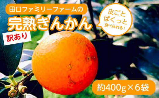 【訳あり】完熟きんかんLサイズ 約400g×6袋(2025年2月中旬発送開始) N053-YZA365