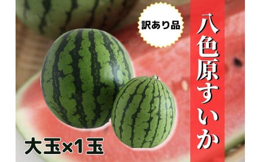 【新潟県南魚沼産】【わけあり】八色原スイカ 大玉１玉 982627 - 新潟県南魚沼市