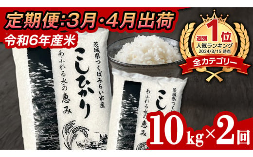 【 定期便（3月・4月発送） / 数量限定 】新米 茨城県産 コシヒカリ 精米 10kg (5kg×2袋）×2回 令和6年産 こしひかり 米 コメ こめ 単一米 限定 茨城県産 国産 美味しい お米 おこめ おコメ