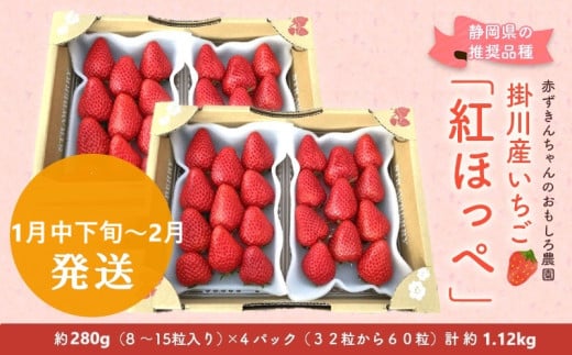 ６３９２　①1月中下旬～2月からの発送 いちご 掛川産 紅ほっぺ 約280g×4パック 計1.12ｋｇ ①1月中下旬～2月 ②3月 の中からお選び下さい 赤ずきんちゃんのおもしろ農園  1892408 - 静岡県掛川市