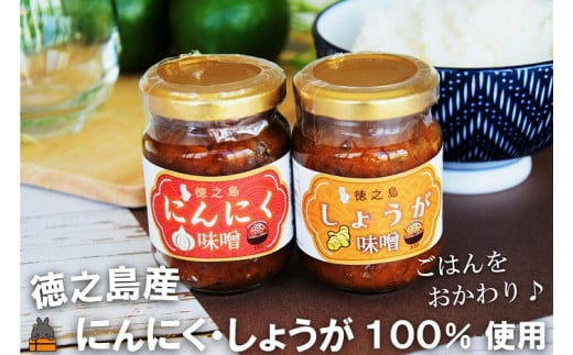 2313 徳之島産にんにく・しょうが100%使用！ごはんのお供！徳之島にんにく味噌＆しょうが味噌（100ml×2） （ にんにく しょうが 生姜 ショウガ 食べ比べ 味噌 お味噌 ごはんのお供 ごはん 調味料 瓶 国産 徳之島 奄美 鹿児島 美味しい ）