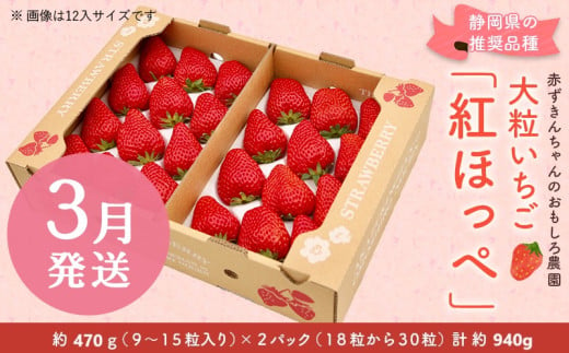 ６３９０　②3月からの発送　大粒いちご 紅ほっぺ 470g×２P 計940g 令和7年1月頃から発送　①1月下旬～2月 ②3月 赤ずきんちゃんのおもしろ農園  