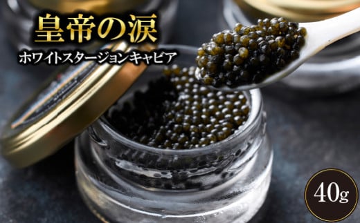 【年末限定受付！】ホワイトスタージョンキャビア 40g 皇帝の涙 国産 チョウザメ 魚卵 宮崎県 宮崎 小林市