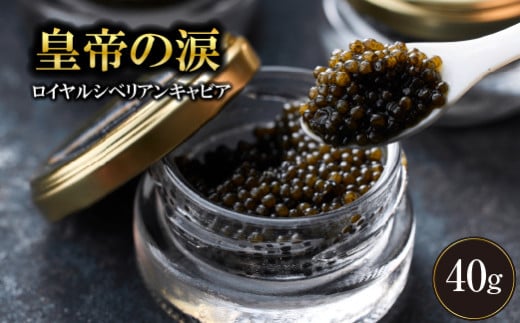 【年末限定受付！】ロイヤルシベリアンキャビア 40g 皇帝の涙 国産 チョウザメ 魚卵 宮崎県