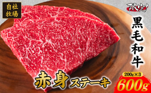 【年末限定規格】小林市産 黒毛和牛 赤身ステーキ 200g×3枚（牛肉 国産牛 黒毛和牛 和牛 赤身 ステーキ）