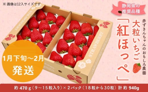 ６３９０　①1月下旬から2月の発送　大粒いちご 紅ほっぺ 470g×２P 計940g 令和7年1月頃から発送　①1月下旬～2月 ②3月 赤ずきんちゃんのおもしろ農園   1892393 - 静岡県掛川市