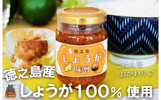 2312 徳之島産しょうが100%使用！ごはんのお供！徳之島しょうが味噌（100ml） （ しょうが 生姜 ショウガ 味噌 お味噌 ごはんのお供 ごはん 調味料 瓶 国産 徳之島 奄美 鹿児島 美味しい ）