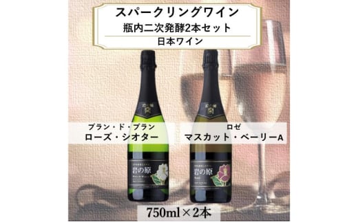 ワイン 岩の原スパークリングワイン 瓶内二次発酵２本セット （750ml） 酒 ギフト 新潟 上越