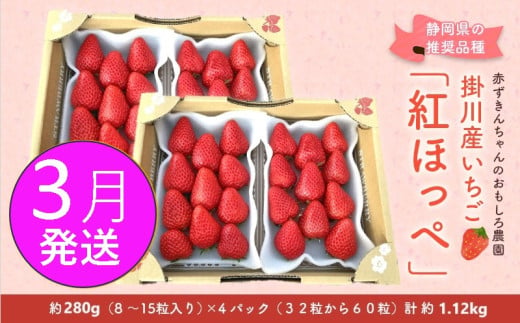 ６３９２　②3月からの発送 いちご 掛川産 紅ほっぺ 約280g×4パック 計1.12ｋｇ ①1月中下旬～2月 ②3月 の中からお選び下さい 赤ずきんちゃんのおもしろ農園 