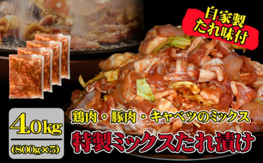 【年末限定受付！】特製 鶏 豚ミックスタレ漬け 4kg（鶏肉 鶏 豚肉 豚 味付き 惣菜 おかず 限定）