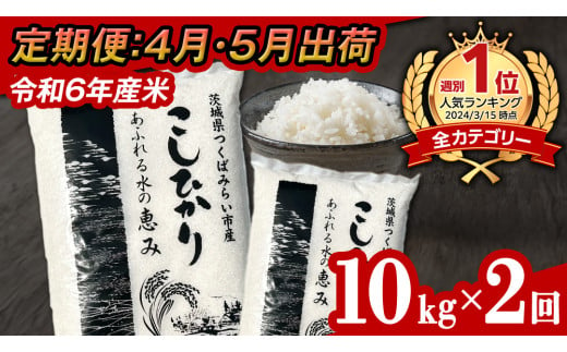 【 定期便（4月・5月発送） / 数量限定 】新米 茨城県産 コシヒカリ 精米 10kg (5kg×2袋）×2回 令和6年産 こしひかり 米 コメ こめ 単一米 限定 茨城県産 国産 美味しい お米 おこめ おコメ