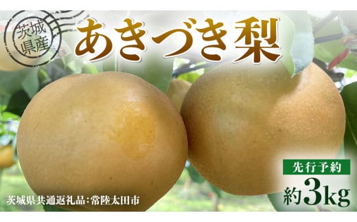 【 先行予約 】茨城県産 梨 あきづき 約3kg 6玉～7玉( 茨城県共通返礼品 : 常陸太田市 ) 【 2025年 9月中旬頃より発送 】 フルーツ 果物 国産 日本産 梨 ナシ なし 和梨 秋月 期間限定 数量限定