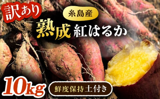 [訳あり] さつまいも 紅はるか 約10kg 土付き 無選別 福岡県糸島産 糸島市 / エムアイ・ソリューション 