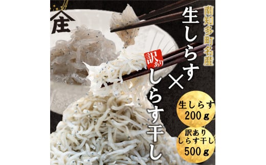 生しらす 200g 訳ありしらす干し 500g セット 冷凍 刺身 真空パック しらす干し 炒飯 パスタ ごはん 丼 サラダ 魚 料理 愛知県 南知多町 師崎 シラス しらす 小魚 魚貝 魚貝類 しらす シラス 海鮮 しらす丼 シラス丼 ふるさと納税しらすしらす おすすめ 大人気 南知多産しらす愛知県産しらす 