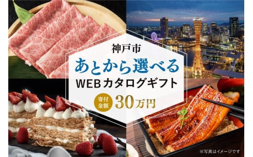 あとから選べるWEBカタログギフト(寄附30万円コース)90000ポイント神戸市