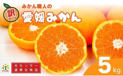 訳あり 愛媛みかん 5kg 人気 みかん 冬 秋 旬 糖度 糖度計 厳選 光センサー選果 柑橘 かんきつ 果物 くだもの 国産 こくさん フルーツ スイーツ デザート ご褒美 みかん 蜜柑 大小 サイズ ミックス 不揃い 傷 温州 温州みかん ビタミン 美味しい 農家直送 地場産品 こだわり みかん職人武田屋 愛媛県 愛南町 