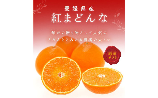 紅まどんな 4L〜L 約3kg みかん ミカン 蜜柑 温州 果物 くだもの フルーツ 柑橘 [2025年12月下旬-2月下旬発送予定](817)