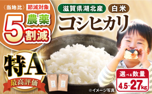 [令和6年産] 湖北産 コシヒカリ 4.5kg(白米) 長浜市/株式会社エース物産[AQAK002] 米 お米 ご飯 ごはん ゴハン 近江米 滋賀県