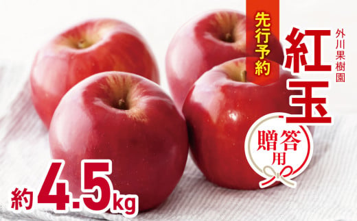 *【2025年先行予約】外川果樹園 贈答用 紅玉 約4.5kg｜リンゴ りんご 林檎 果物 フルーツ 果実 果汁 紅玉 こうぎょく ギフト 贈答用 長野県 松川村 信州 725766 - 長野県松川村