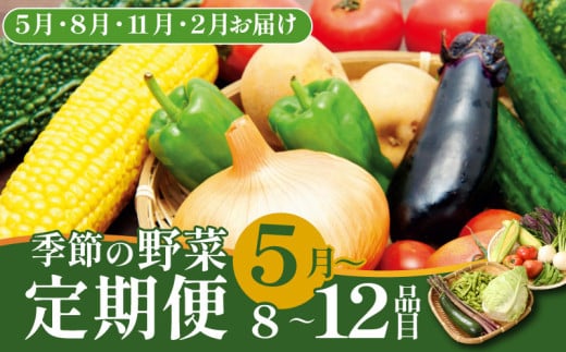 【5月開始】 野菜定期便 年4回 8～12種類 数量限定 野菜 定期便 セット 詰め合わせ 旬 おまかせ 野菜BOX 詰め合わせ 野菜定期便 ふるさと納税野菜 やさい ていばん セット 産地直送  せいだ 新潟 新発田 seida011