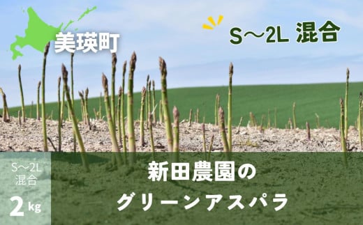 ≪令和７年産予約受付！≫新田農園　グリーンアスパラ(S～２L混合)2kg | グリーン アスパラガス アスパラ あすぱら あすぱらがす 採れたて 新鮮 旬 産地直送 野菜[018-51]