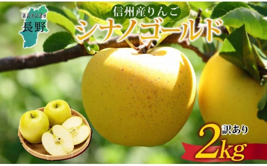 ＜25年発送 先行予約＞長野県産 りんご シナノゴールド 訳あり 約2kg リンゴ 旬 フルーツ 訳アリ 林檎 果物 規格外 自家用 産地直送 農園 産直 お取り寄せ もぎたて 採れたて 送料無料 堀田農園 信州 大町市