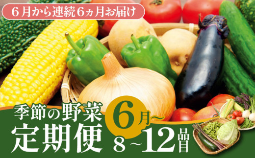 【6月開始】 野菜定期便 年6回 8～12種類 数量限定 野菜 定期便 セット 詰め合わせ 旬 おまかせ 野菜BOX 詰め合わせ 野菜定期便 ふるさと納税野菜 やさい ていばん セット 産地直送  せいだ 新潟 新発田 seida014