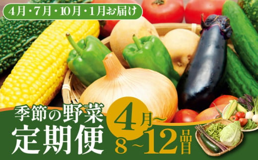 【4月開始】 野菜定期便 年4回 8～12種類 数量限定 野菜 定期便 セット 詰め合わせ 旬 おまかせ 野菜BOX 詰め合わせ 野菜定期便 ふるさと納税野菜 やさい ていばん セット 産地直送  せいだ 新潟 新発田 seida010