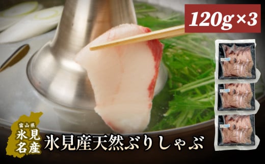 氷見漁港でとてれた天然寒ぶりしゃぶ120g　3個