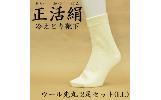 正活絹 冷えとり靴下 ウール先丸 2足セット(LLサイズ)【1583829】 1926373 - 岐阜県羽島市