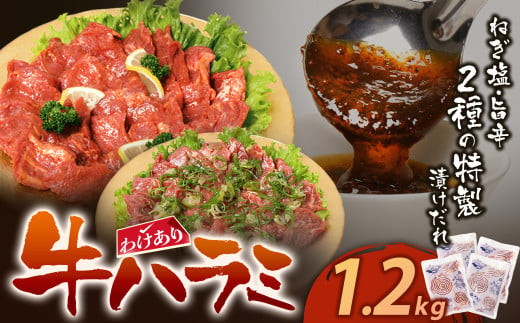 U61-43 【訳あり】牛ハラミ肉(旨辛、ねぎ塩) 1.2kg 旨辛 ねぎ塩 牛肉 焼肉 味付け肉 BBQ 簡単 冷凍 家庭用 大人気 コスパ 手軽