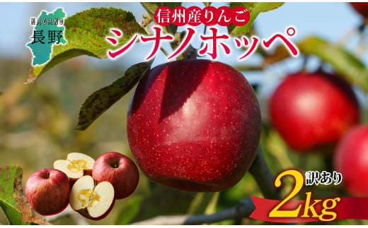 ＜25年発送 先行予約＞長野県産 りんご シナノホッペ 訳あり 約2kg リンゴ 旬 フルーツ 訳アリ 林檎 果物 規格外 自家用 産地直送 農園 産直 お取り寄せ もぎたて 採れたて 送料無料 堀田農園 信州 大町市