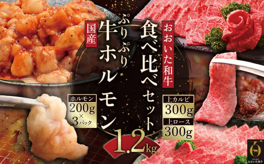 おおいた和牛食べ比べセット&ぷりぷり牛ホルモン【合計1.2kg】 G22