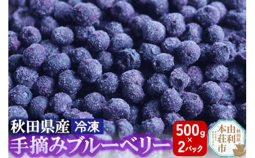 秋田県産 手摘み冷凍ブルーベリー 500g×2パック 1916732 - 秋田県由利本荘市