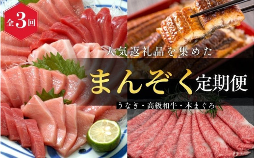 【全3回定期便】 国産うなぎ 高級和牛 本マグロ 〈人気返礼品を集めました！〉 / 鰻 ウナギ うなぎ蒲焼 うなぎの蒲焼 肉 お肉 牛肉 和牛 黒毛和牛 ブランド牛 しゃぶしゃぶ すき焼き マグロ まぐろ 鮪 トロ 中とろ 柵 刺し身 海鮮 人気 おすすめ うなぎ定期便 肉定期便 魚定期便 【tkb104】