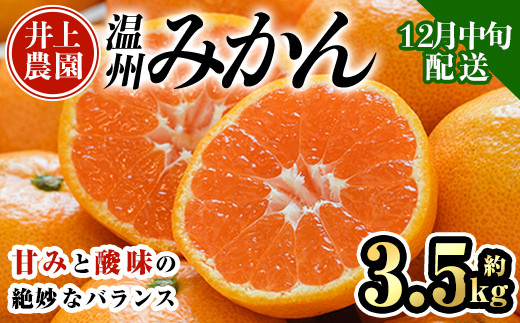 ＜先行予約受付中！12月中旬より順次発送予定＞数量限定 大分県宇佐市産 温州みかん(約3.5kg)みかん ミカン 蜜柑 柑橘 フルーツ 果物 くだもの 果実 国産【103670500】【井上農園】
