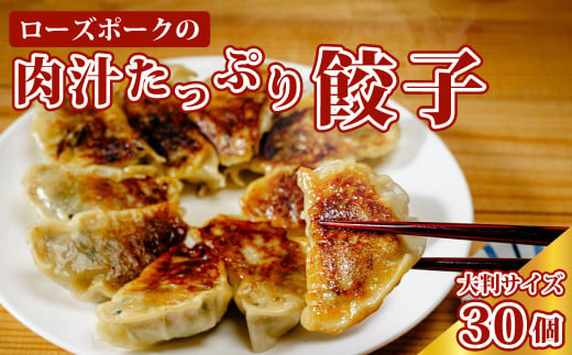 ローズポーク 肉汁 たっぷり 餃子 30個セット | ローズポーク 大きい 片岡肉店 手作り 大ぶり 美味しい ジューシー おかず お惣菜 おつまみ 肉屋 食肉専門 夕飯 小分け お弁当 国産 贈答品 ブランド肉 ギフト プレゼント 贈り物 お祝い 父の日 お中元 茨城県 常陸太田市