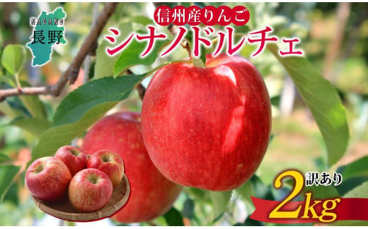 ＜25年発送 先行予約＞長野県産 りんご シナノドルチェ 訳あり 約2kg リンゴ 旬 フルーツ 訳アリ 林檎 果物 規格外 自家用 産地直送 農園 産直 お取り寄せ もぎたて 採れたて 送料無料 堀田農園 信州 大町市