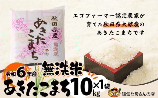 R6年産「あきたこまち無洗米10kg」(10kg×1袋) 100P9201 238633 - 秋田県大館市