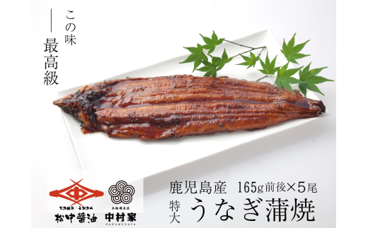 【120年老舗醤油蔵仕込みのたれと関門の塩】高級鰻 蒲焼 （165g前後）×5尾 合計825g前後 タレ付 山椒小袋 うなぎ 蒲焼き 冷凍 国産