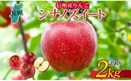 ＜25年発送 先行予約＞長野県産 りんご シナノスイート 訳あり 約2kg リンゴ 旬 フルーツ 訳アリ 林檎 果物 規格外 自家用 産地直送 農園 産直 お取り寄せ もぎたて 採れたて 送料無料 堀田農園 信州 大町市