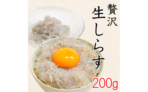 生しらす 200g ( 100g × 2袋 ) 冷凍 刺身 真空パック ごはん 丼 サラダ 魚 料理 愛知県 南知多町 師崎 シラス しらす 小魚 魚貝 魚貝類 しらす シラス 海鮮 しらす丼 シラス丼 ふるさと納税しらすしらす おすすめ 大人気 南知多産しらす愛知県産しらす 