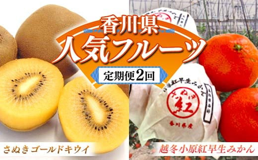 【人気フルーツ定期便A 2回】越冬小原紅早生みかん  約１.５kg さぬきゴールドキウイ 約１kg キウイ みかん 旬 フルーツ 果物 国産 香川県 F5J-882