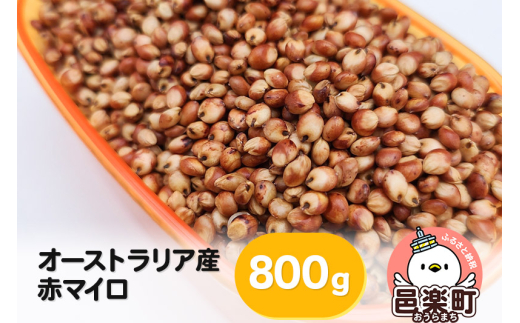 赤マイロ オーストラリア産 800g×1袋 サイトウ・コーポレーション 飼料 863949 - 群馬県邑楽町