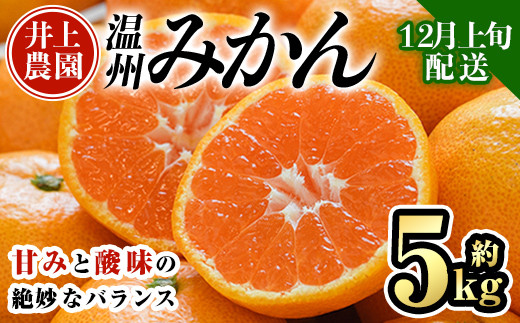 ＜先行予約受付中！12月上旬より順次発送予定＞数量限定 大分県宇佐市産 温州みかん(約5kg)みかん ミカン 蜜柑 柑橘 フルーツ 果物 くだもの 果実 国産【103610400】【井上農園】