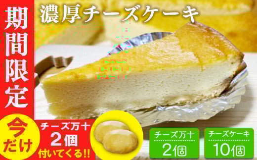 【期間限定】濃厚チーズケーキ 10個入り(2個入×5パック) 今だけチーズ万十2個付き 463707 - 熊本県あさぎり町