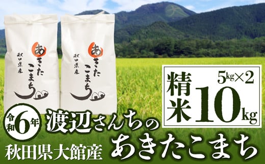 【令和6年産】渡辺さん家のあきたこまち精米10kg（5kg×2袋） 70P9012 250454 - 秋田県大館市